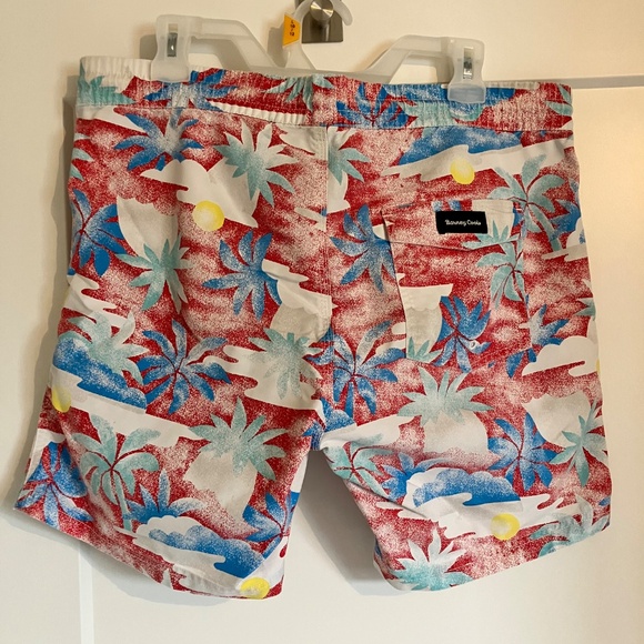 Barney Cools Amphibious Swim Shorts - Picture 2 of 3